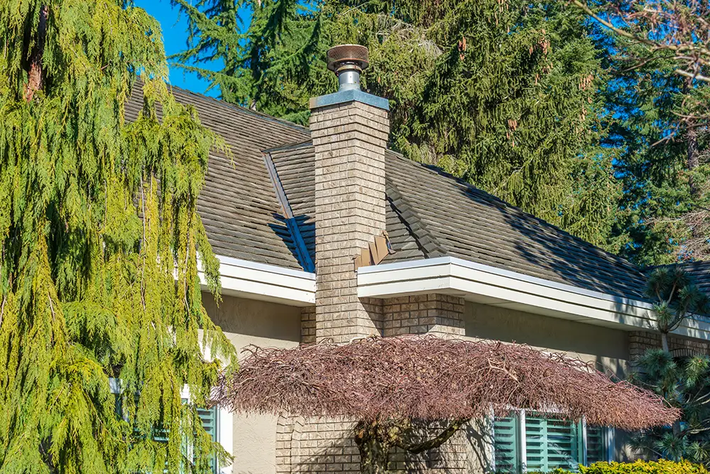 chimney
