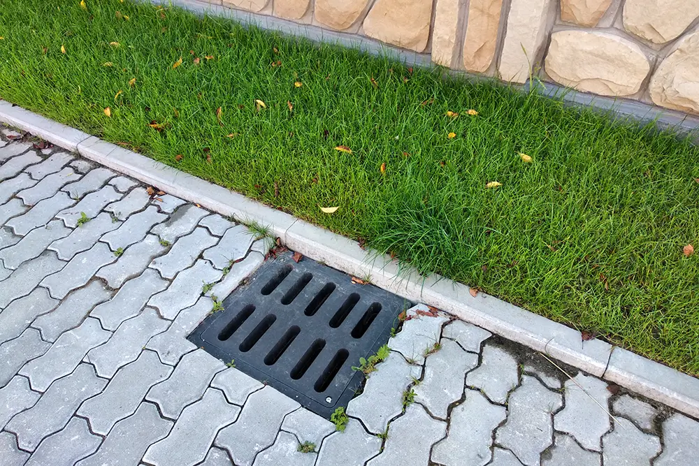 drainage
